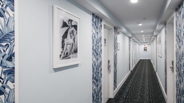 The Penguin Hotel Hallway - Oceanfront Hotel 