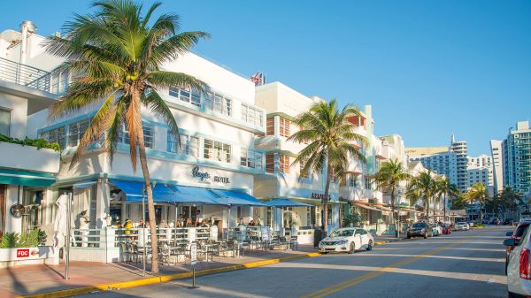 The Penguin Hotel - Oceanfront Hotel in Miami Beach