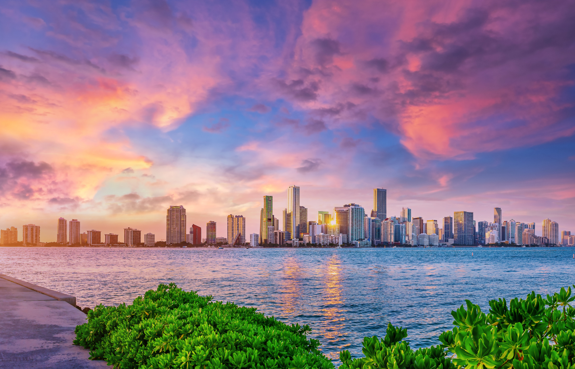 The image shows a city skyline across the water at sunset with vibrant, colorful clouds and lush greenery in the foreground.