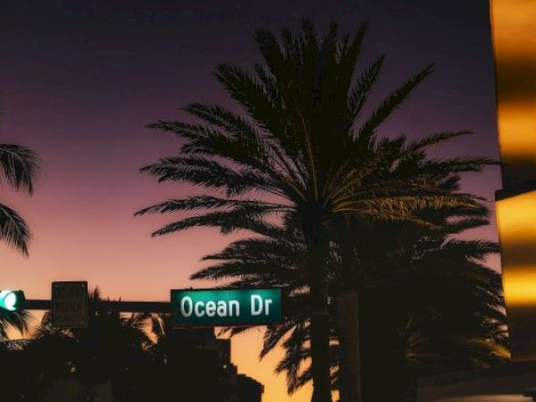 Palm trees and a street sign that reads "Ocean Dr" against a colorful sky at sunset or dusk, with buildings faintly visible.