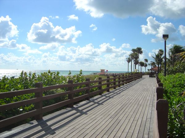 A boardwalk running alongside a beach with a cloudy sky, greenery, palm trees, and a distant structure, possibly a lifeguard tower, along the path.