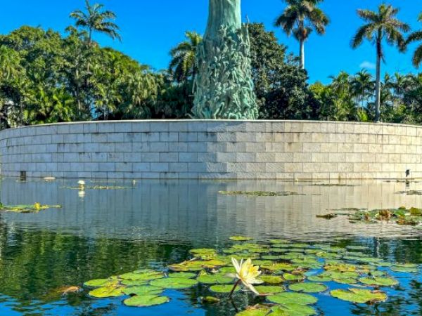 The image shows a statue surrounded by a circular stone wall and a pond with lily pads, with tall palm trees and lush greenery in the background.
