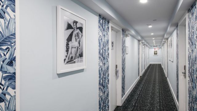 Penguin Hotel — photo 12 of 60