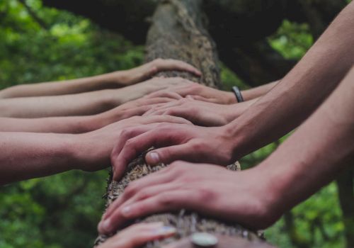 Several hands are placed on a tree trunk in a forest setting, creating a sense of unity or connection.