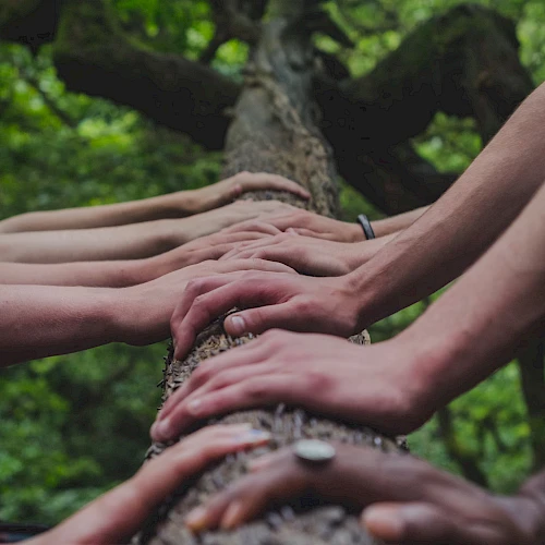 Several hands are placed on a tree trunk in a forest setting, creating a sense of unity or connection.