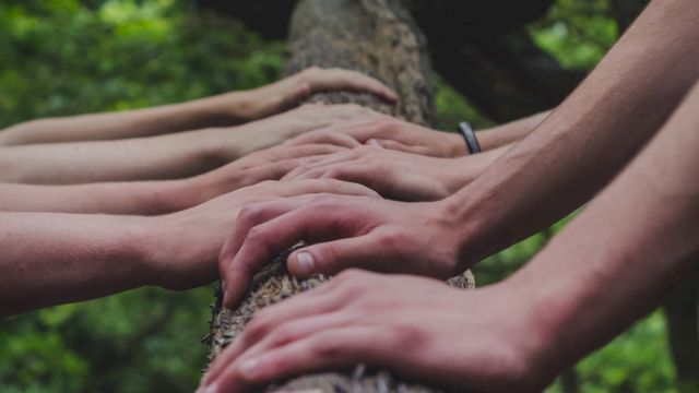 Several hands are placed on a tree trunk in a forest setting, creating a sense of unity or connection.