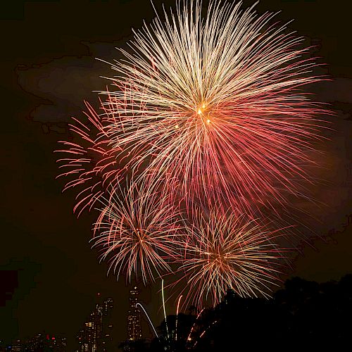 A vibrant fireworks display lights up the night sky with colorful bursts over a silhouetted cityscape.
