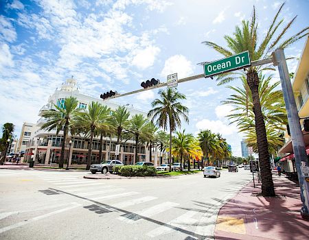 A sunny street corner with the “Ocean Dr” sign, palm trees, cars, and traffic lights under a blue sky.