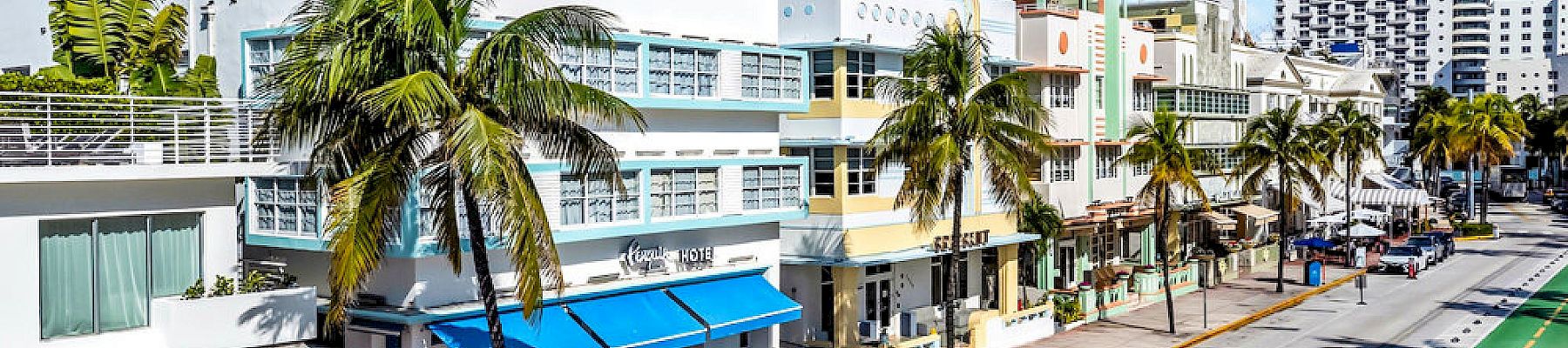 A sunny city street lined with palm trees, a modern hotel building, and distant towers under a blue sky.