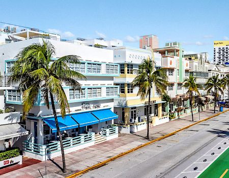 A sunny city street lined with palm trees, a modern hotel building, and distant towers under a blue sky.