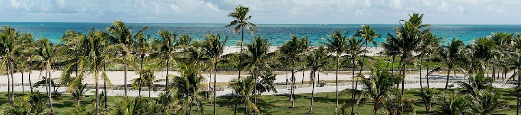 Tropical seaside view: palm-lined garden overlooking a sandy beach and turquoise ocean under big fluffy clouds.