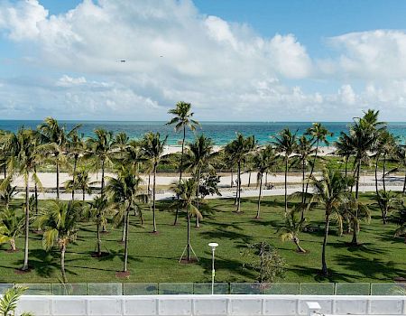 Tropical seaside view: palm-lined garden overlooking a sandy beach and turquoise ocean under big fluffy clouds.