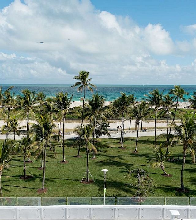 Tropical seaside view: palm-lined garden overlooking a sandy beach and turquoise ocean under big fluffy clouds.