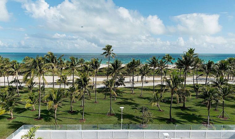 Tropical seaside view: palm-lined garden overlooking a sandy beach and turquoise ocean under big fluffy clouds.